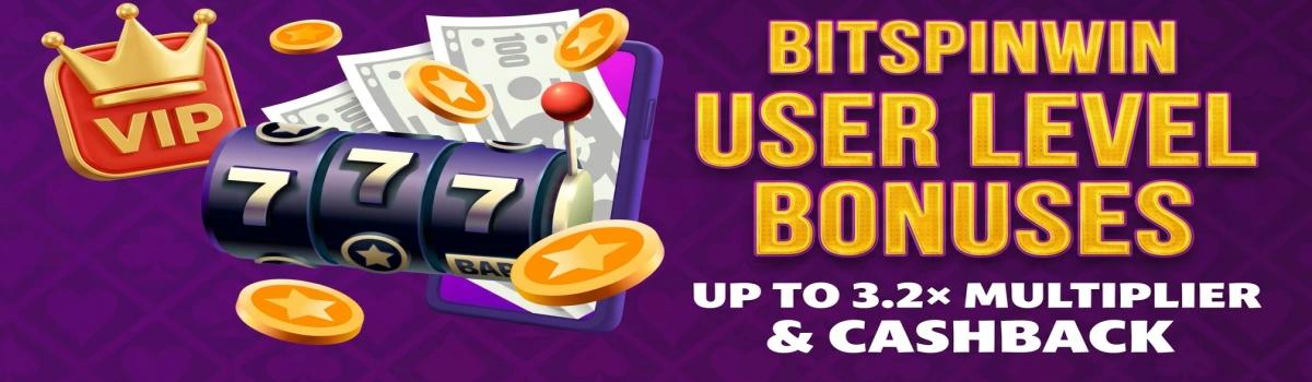 Bitspinwin User Level Bonuses